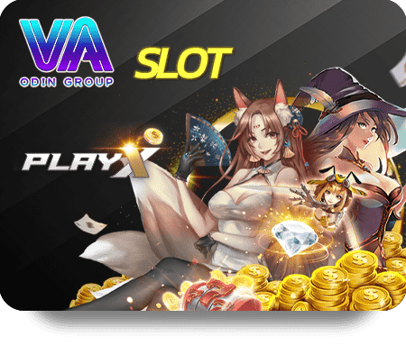 Tips for Choosing a Reliable Live Casino Operator
